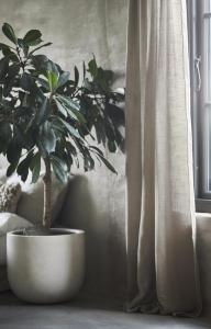 Gardin Ljusbrun Boel & Jan 2-Pack Joline 135x300cm