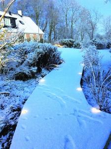 Bolthi Decklight LED 65 mm Stål 6-set