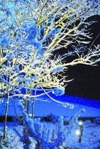 Bolthi Flora Trädgårdsspot 2-set Antracitgrå