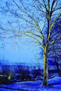 Bolthi Spotlight Mega Spot LED 14W Svart