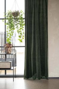 Öljettgardin Sammet Esther Grön 2-Pack 135x250cm Fondaco