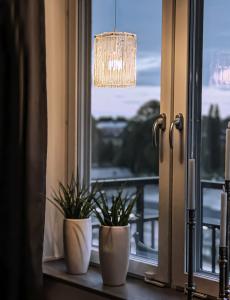 Fönsterlampa Abelone Klar/Silver 19,5cm Aneta Lighting