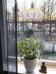 Fönsterlampa Aneta Lighting Mamsell Vit/Krom 22cm