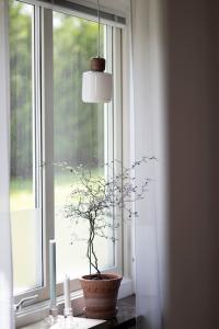 Fönsterlampa Pendel Glas Vit Globen Lighting DOT 11cm