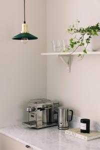 Fönsterlampa Pendel Grön Globen Lighting Mini Disc 22cm