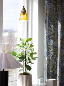 Fönsterlampa Glas Amber/Mässing PR Home Emmi 12cm