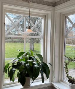 Fönsterlampa Silvia Glas Vit/Antik 14cm Aneta Lighting