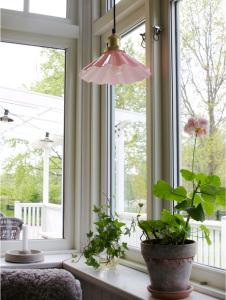 Fönsterlampa August Veckad Rosa 25cm PR Home