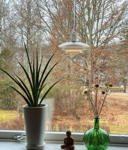 Fönsterlampa Epsilon Vit 20cm Aneta Lighting