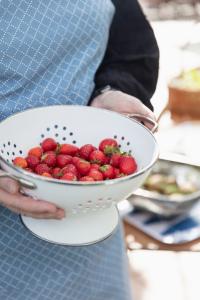 Förkläde Blå Almedahls Prickruta