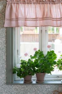 Gardinkappa Rosa Fondaco Sanna 50x250cm