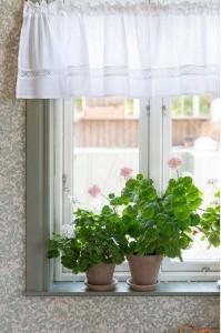 Gardinkappa Vit Fondaco Sanna 50x250cm