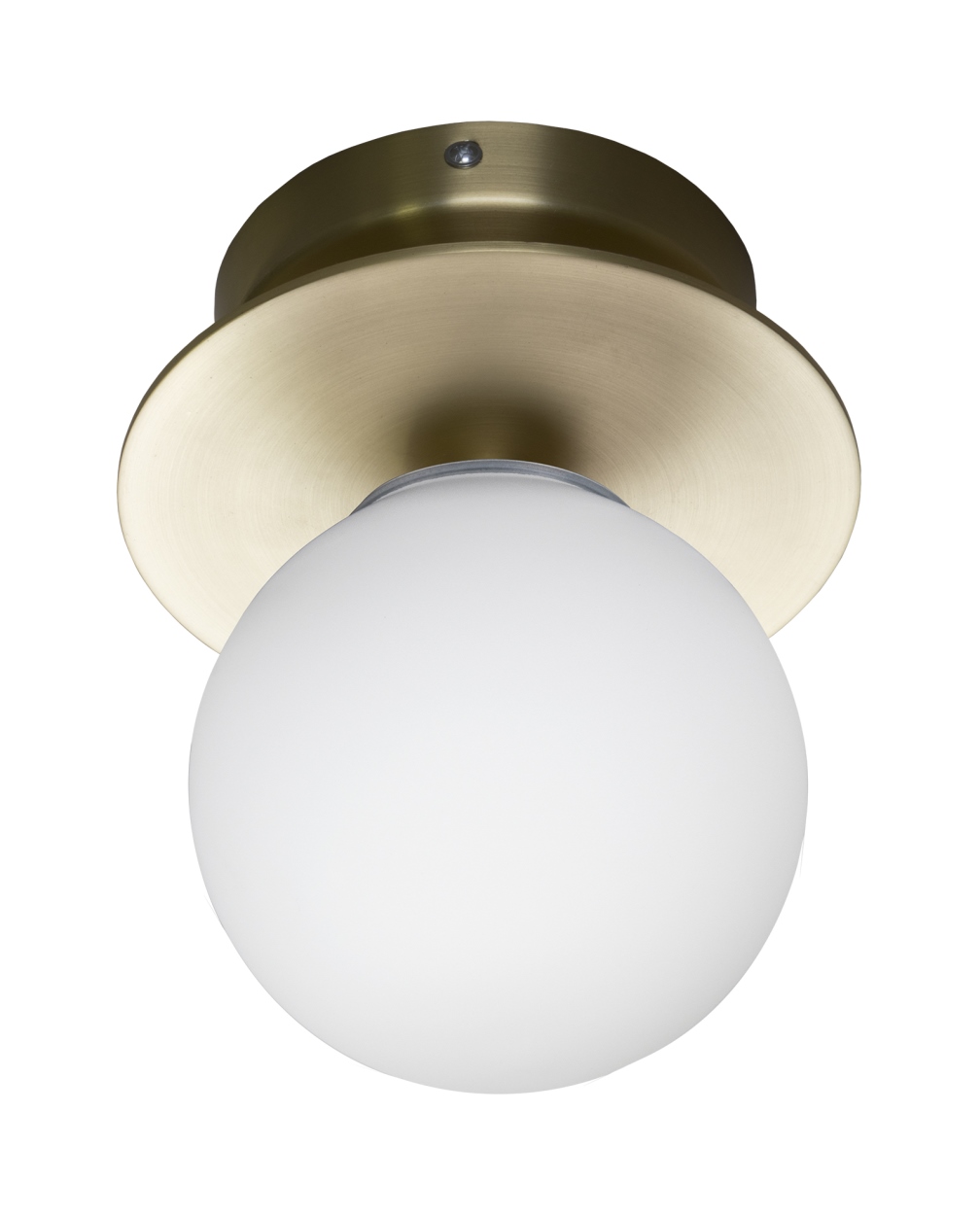 Globen Lighting Art Deco 24 Vägglampa/Plafond IP44 Borstad Mässing