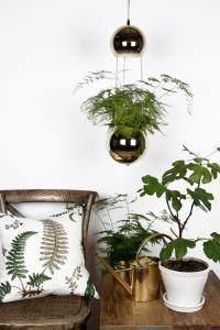 Ampellampa Pendel Mässing Globen Lighting Planter 18cm