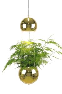 Ampellampa Pendel Mässing Globen Lighting Planter 18cm