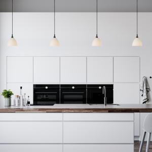 Taklampa Glas Opal/Svart Dimbar Herstal Mega Dove 16cm