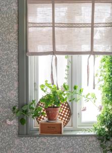 Hissgardin Sanna Beige 100x100cm Fondaco