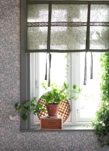 Hissgardin Sanna Grön 100x100cm Fondaco