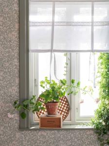 Hissgardin Sanna Vit 100x100cm Fondaco