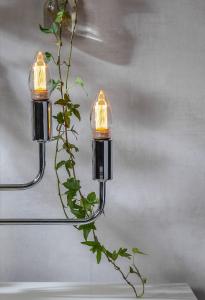 Star Trading LED-Lampa E14 Classics 2,3W Dimbar