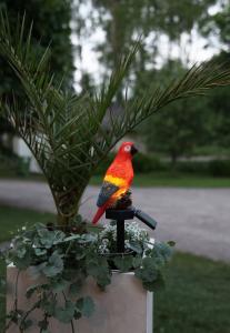 Star Trading Goja Solcellsdekoration Röd