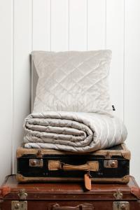 Kosta Linnewäfveri Kuddfodral Sammet Sand 50x50cm