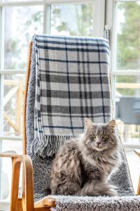 Kosta Linnewäfveri Tanger Pläd Blå 130x170cm