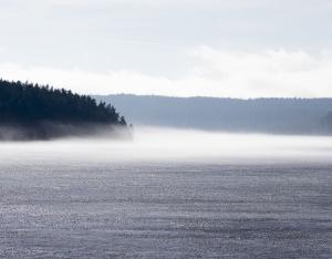 Duschdraperi Grå Nina Royal Gryning 180x200cm