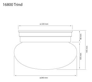 Plafond Glas Antik/Frost Aneta Lighting Trind 24cm
