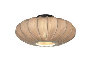 Plafond Grå Aneta Lighting Mamsell 45cm