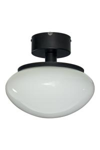 Plafond Svart/Vit 27cm Aneta Lighting New August
