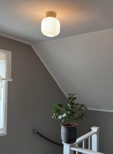 Plafond Glas Vit/Mässing 20cm Aneta Lighting Vanja