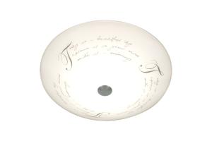 Plafond Glas Vit/Stål 34cm Aneta Lighting Skrift