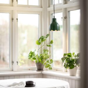 Fönsterlampa Grön PR Home Tulippa 17cm