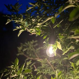 PR Home Uppladdningsbar Ljuskälla Svart