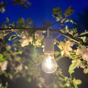 PR Home Uppladdningsbar Ljuskälla Vit