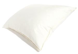 Queen Anne Innerkudde Natur 50x60cm