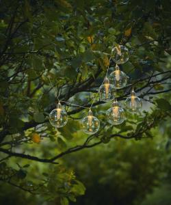 Star Trading Ljusslinga Solcell Transparent Chania 2,45m