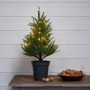 Star Trading Dekorationsträd Thuja Grön 55cm