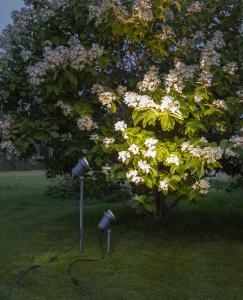 Star Trading Focus Spotlight 67cm Svart