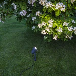 Star Trading Focus Spotlight 30cm Svart