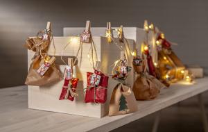 Star Trading Ljusslinga Inomhus Batteridriven Multi Clippy Advent 2,4m