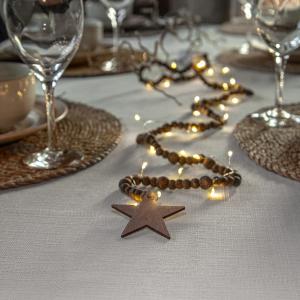 Star Trading Ljusslinga Inomhus Batteridriven Beady Brun