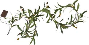 Star Trading Ljusslinga Utomhus Batteridriven Grön Girlang Olivec 1,8m