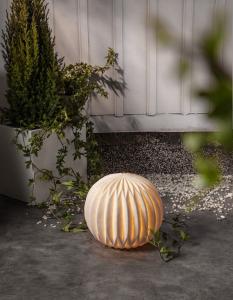 Star Trading Sandy Batteridekoration Vit 22cm