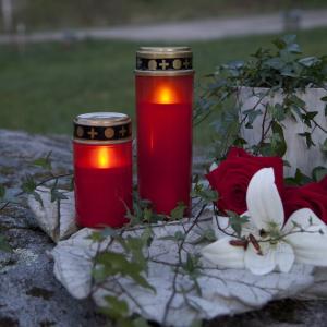 Star Trading Serene Gravljus Röd