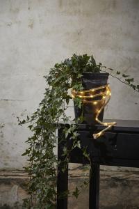 Star Trading Ljusslinga Inomhus Batteridriven Beige Jutta 2m