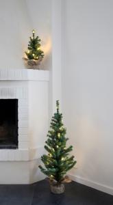 Star Trading Toppy Bordsgran 45cm