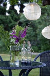 Star Trading Bottle Solcellsdekoration Klar 31cm