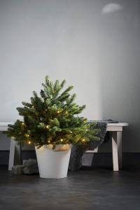 Star Trading Busk Julgran Med LED Grön 75cm